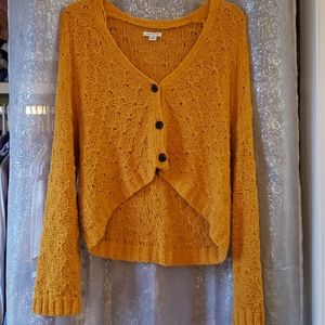 American Eagle cropped sweater